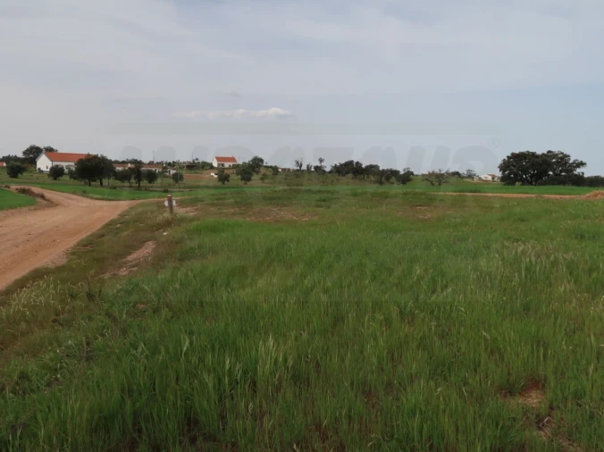 Quinta para Venda em São Domingos e Vale de Água Foto 25