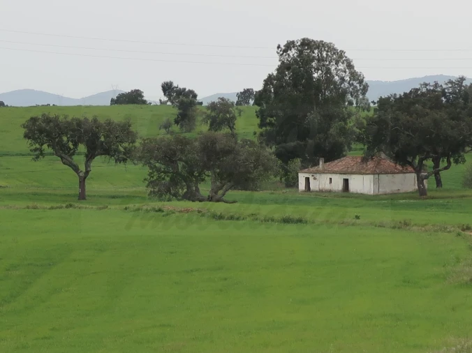 Quinta para Venda em São Domingos e Vale de Água Foto 27