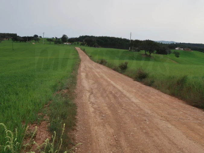 Quinta para Venda em São Domingos e Vale de Água Foto 28
