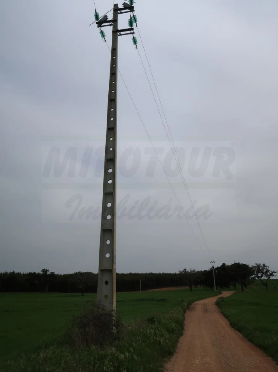 Quinta para Venda em São Domingos e Vale de Água Foto 30