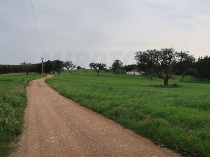 Quinta para Venda em São Domingos e Vale de Água Foto 33