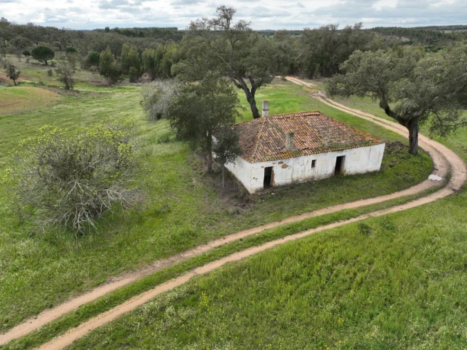 Quinta para Venda em São Domingos e Vale de Água Foto 2