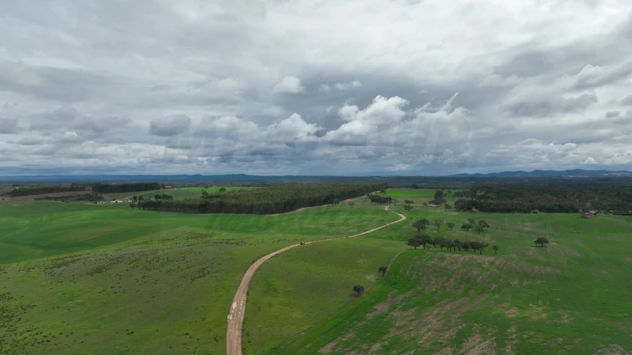 Quinta para Venda em São Domingos e Vale de Água Foto 3