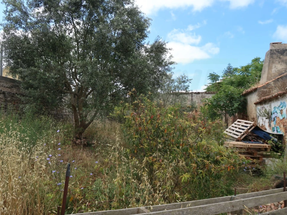 Terreno para Venda em Santiago do Cacém, Santa Cruz e São Bartolomeu da Serra Foto 6