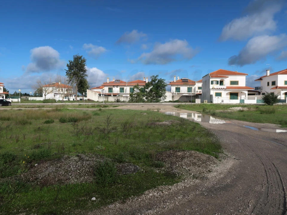 Terreno Agricola ou Rústico para Venda em Pegões Foto 2