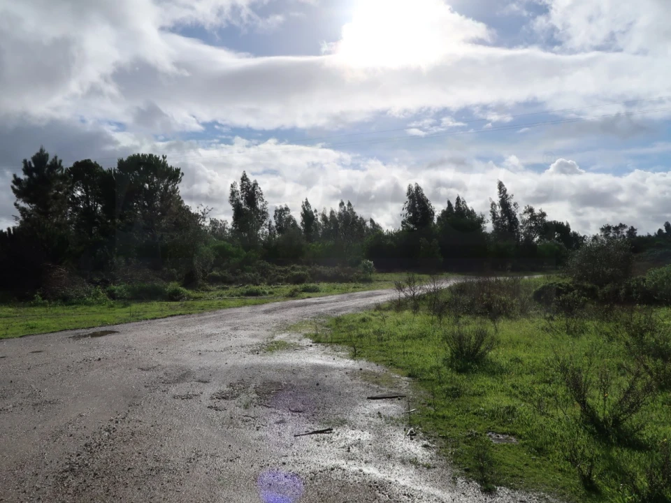 Terreno Agricola ou Rústico para Venda em Pegões Foto 4