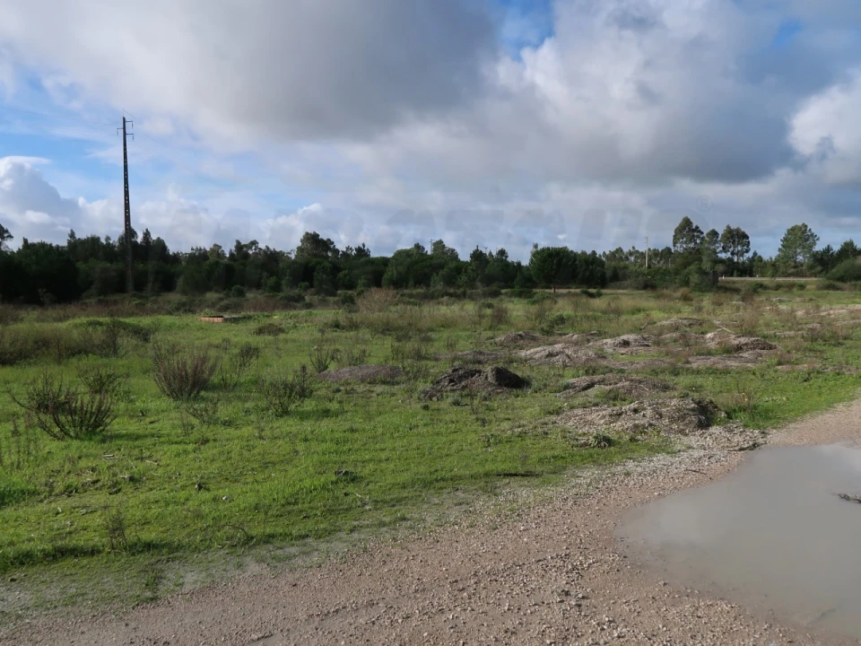 Terreno Agricola ou Rústico para Venda em Pegões Foto 5