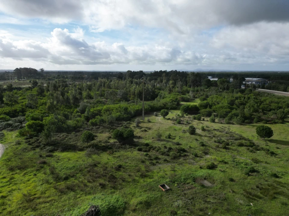 Terreno Agricola ou Rústico para Venda em Pegões Foto 17