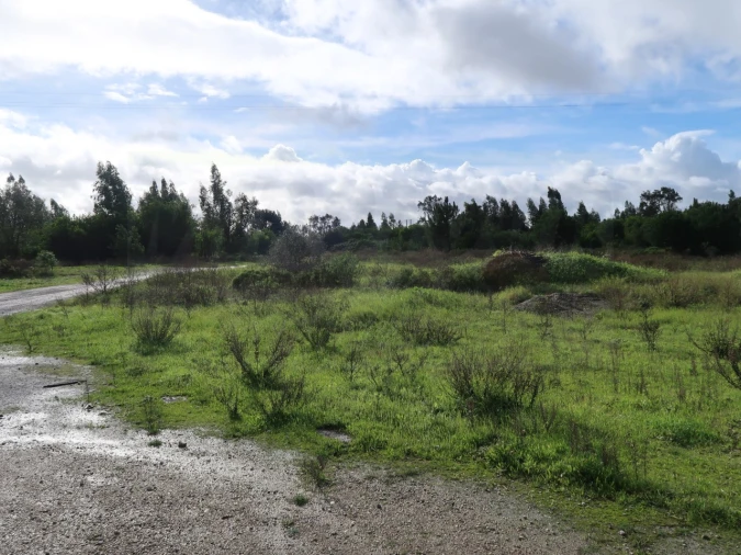 Terreno Agricola ou Rústico para Venda em Pegões Foto 3