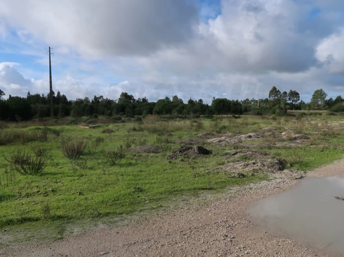 Terreno Agricola ou Rústico para Venda em Pegões Foto 5