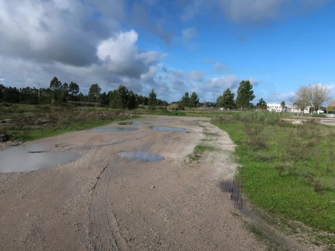Terreno Agricola ou Rústico para Venda em Pegões Foto 6