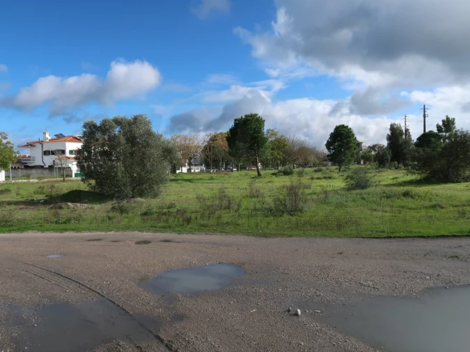 Terreno Agricola ou Rústico para Venda em Pegões Foto 7