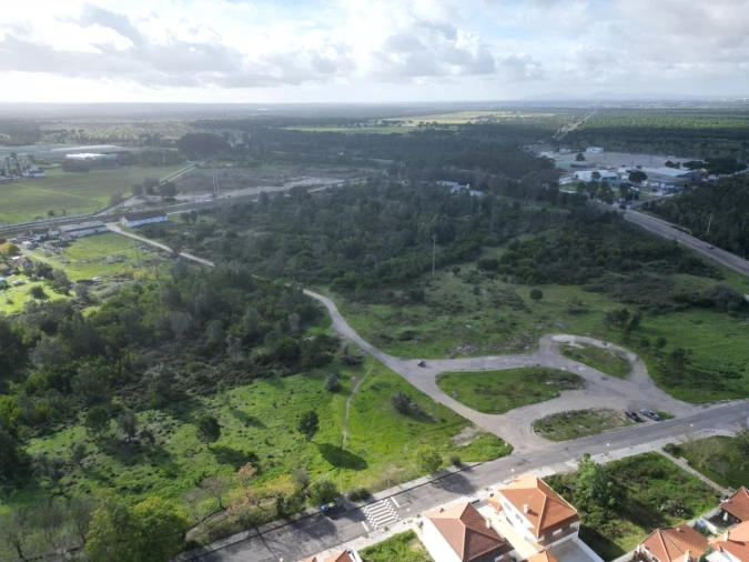 Terreno Agricola ou Rústico para Venda em Pegões Foto 10