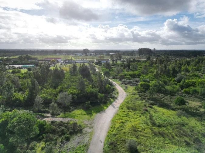 Terreno Agricola ou Rústico para Venda em Pegões Foto 16