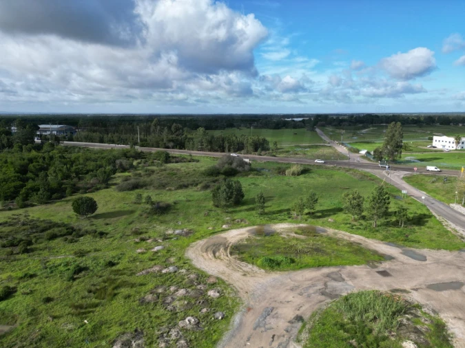 Terreno Agricola ou Rústico para Venda em Pegões Foto 19