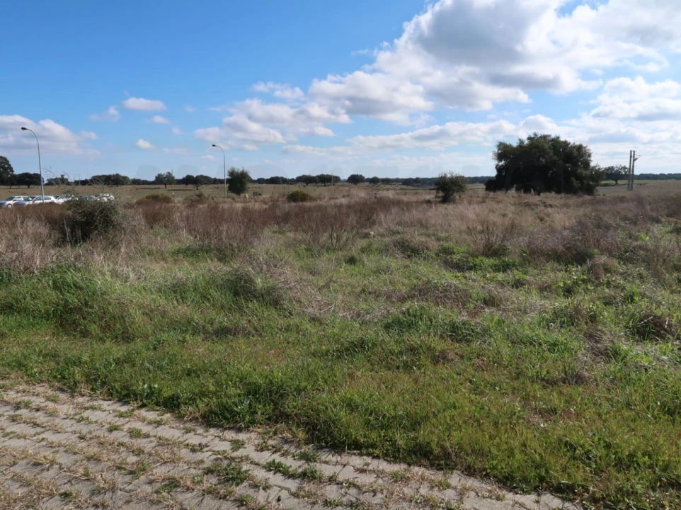 Terreno Comércio / Armazém para Venda em Ermidas-Sado Foto 1