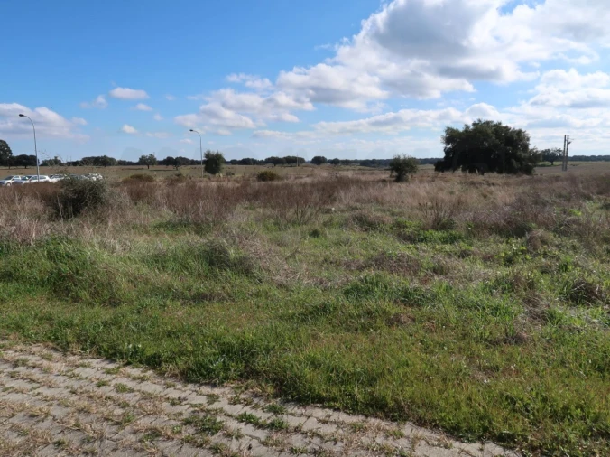 Terreno Comércio / Armazém para Venda em Ermidas-Sado Foto 1