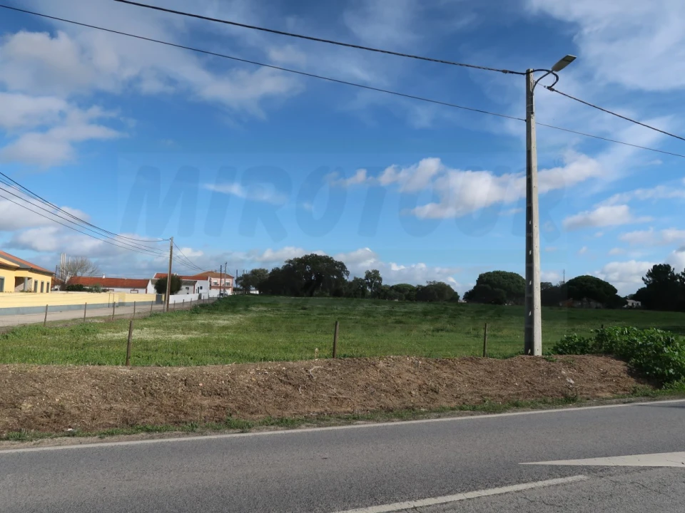 Terreno Agricola ou Rústico para Venda em Quinta do Anjo Foto 3