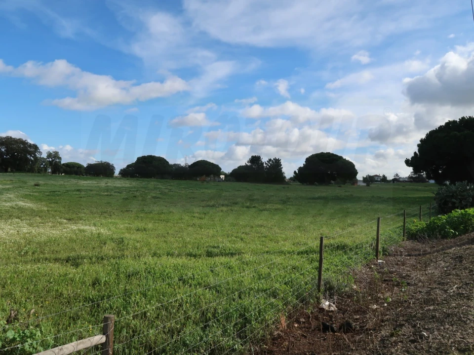 Terreno Agricola ou Rústico para Venda em Quinta do Anjo Foto 4