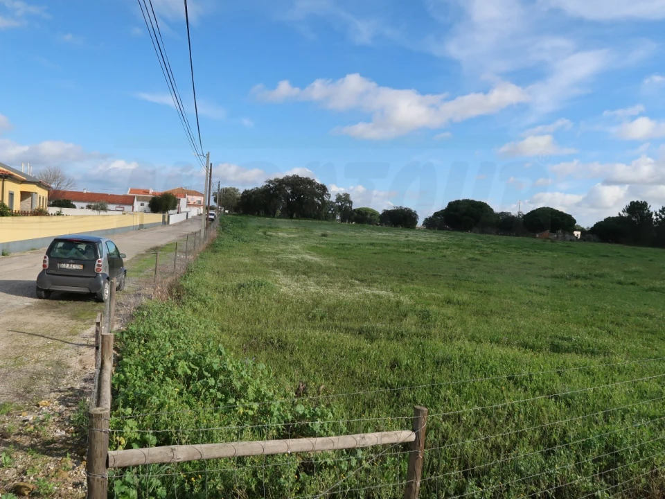 Terreno Agricola ou Rústico para Venda em Quinta do Anjo Foto 5