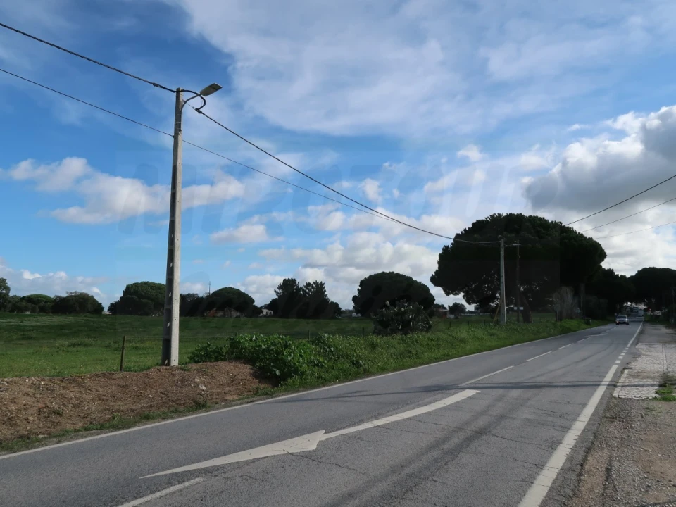 Terreno Agricola ou Rústico para Venda em Quinta do Anjo Foto 6