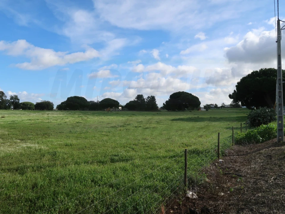 Terreno Agricola ou Rústico para Venda em Quinta do Anjo Foto 9