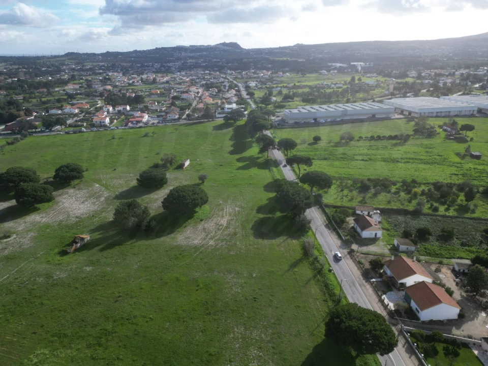 Terreno Agricola ou Rústico para Venda em Quinta do Anjo Foto 11