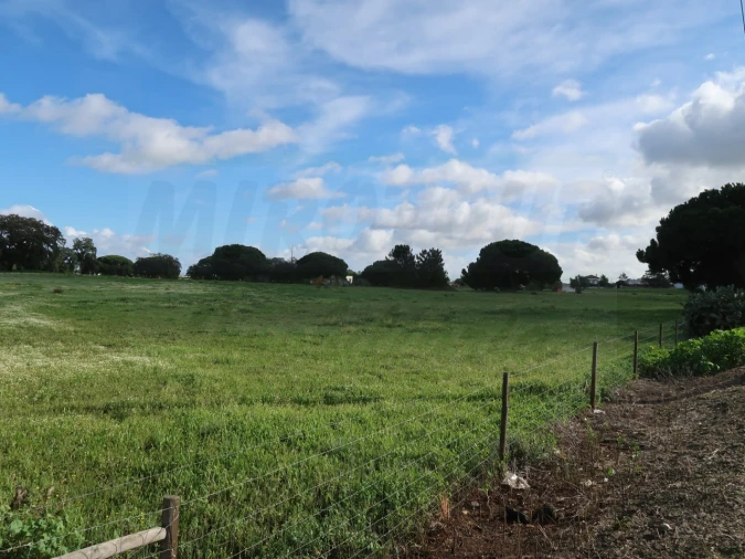 Terreno Agricola ou Rústico para Venda em Quinta do Anjo Foto 4