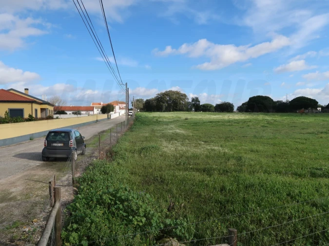 Terreno Agricola ou Rústico para Venda em Quinta do Anjo Foto 8