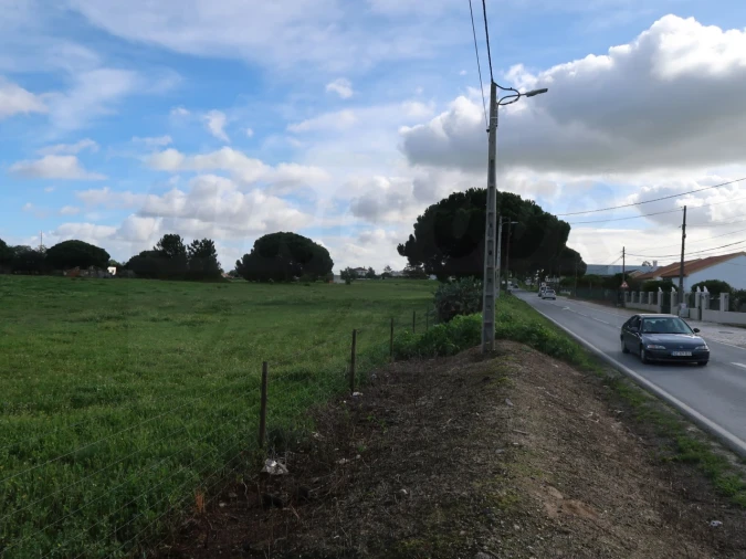 Terreno Agricola ou Rústico para Venda em Quinta do Anjo Foto 10