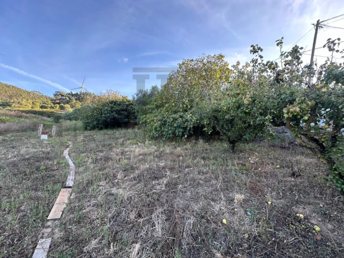 Terreno para Venda em Freiria