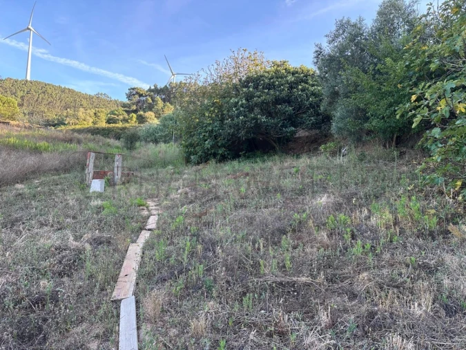 Terreno para Venda em Freiria Foto 4