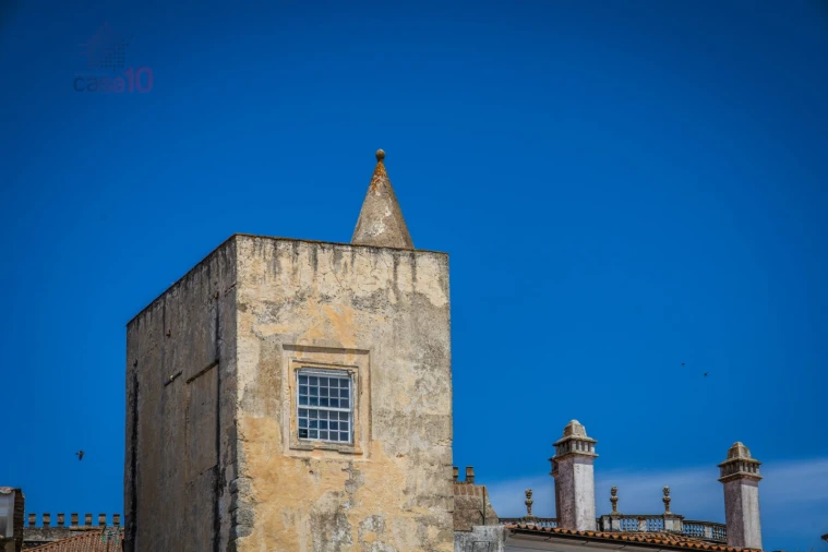 Moradia T30 para Venda em Évora (São Mamede, Sé, São Pedro e Santo Antão) Foto 8