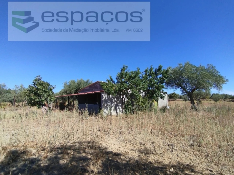 Quinta T1 para Venda em Escalos de Cima e Lousa Foto 2