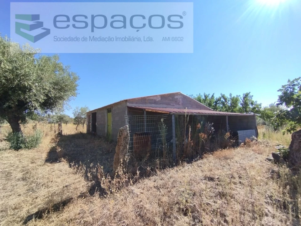 Quinta T1 para Venda em Escalos de Cima e Lousa Foto 8