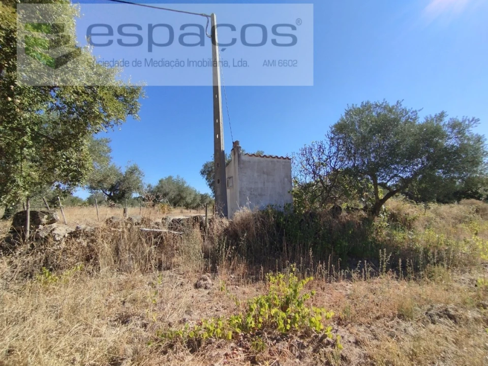 Quinta T1 para Venda em Escalos de Cima e Lousa Foto 11