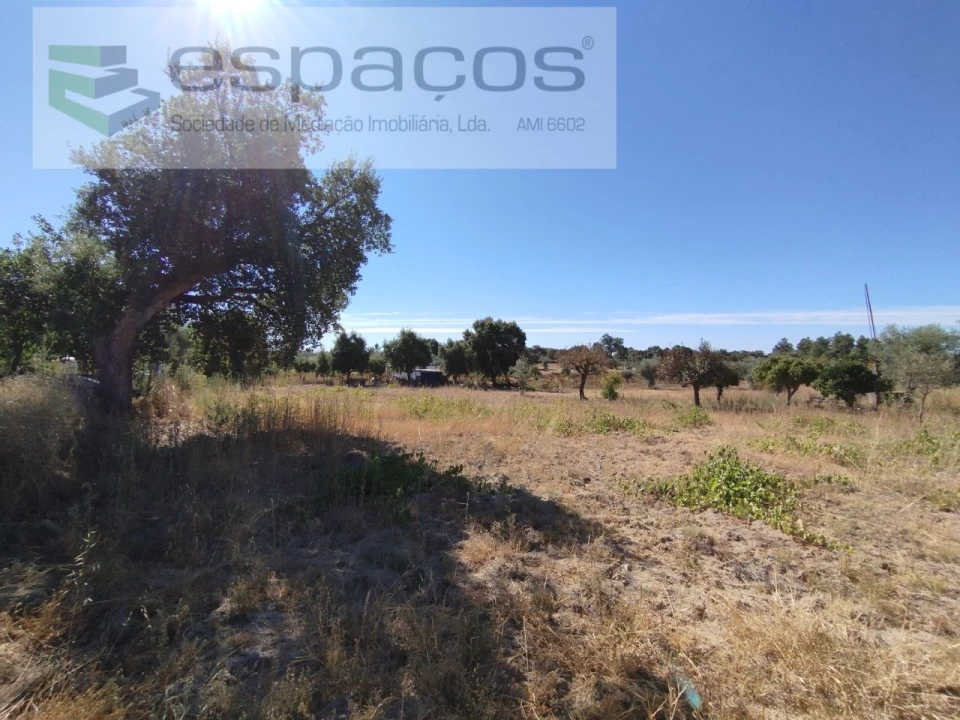 Quinta T1 para Venda em Escalos de Cima e Lousa Foto 12