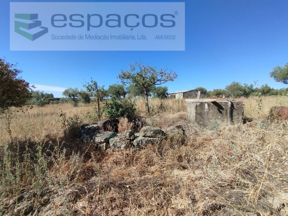 Quinta T1 para Venda em Escalos de Cima e Lousa Foto 17