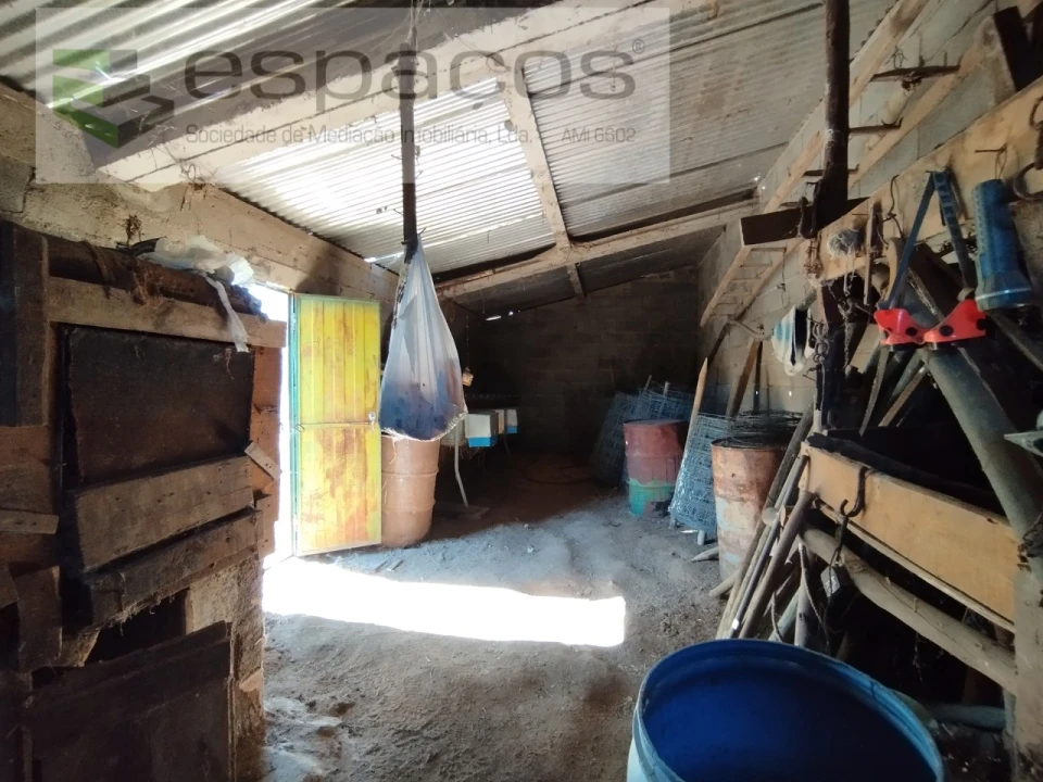 Quinta T1 para Venda em Escalos de Cima e Lousa Foto 21