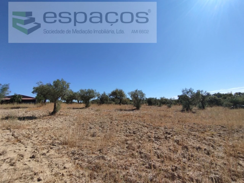 Quinta T1 para Venda em Escalos de Cima e Lousa Foto 26