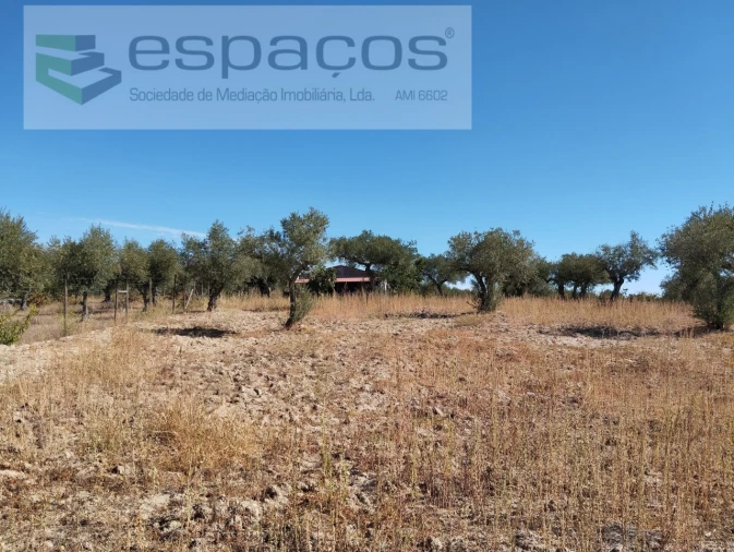 Quinta T1 para Venda em Escalos de Cima e Lousa Foto 6