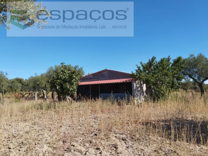 Quinta T1 para Venda em Escalos de Cima e Lousa Foto 3