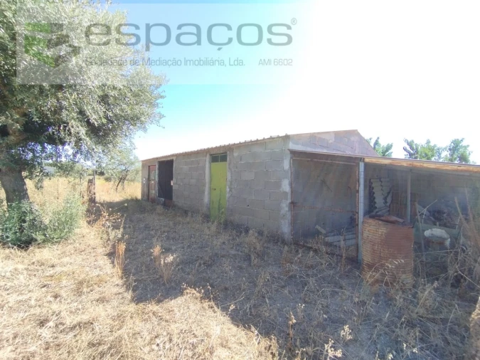 Quinta T1 para Venda em Escalos de Cima e Lousa Foto 9