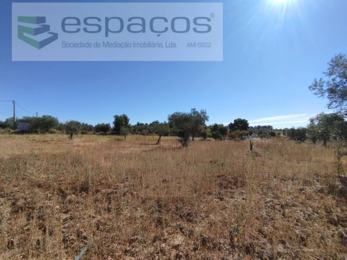 Quinta T1 para Venda em Escalos de Cima e Lousa Foto 2