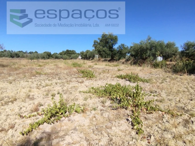 Quinta T1 para Venda em Escalos de Cima e Lousa Foto 13