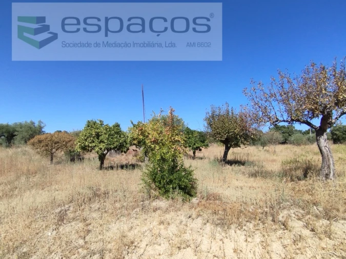 Quinta T1 para Venda em Escalos de Cima e Lousa Foto 15