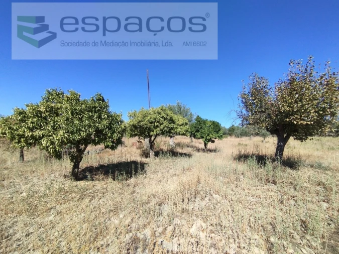 Quinta T1 para Venda em Escalos de Cima e Lousa Foto 4