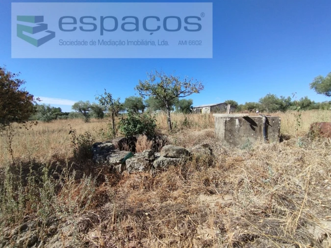 Quinta T1 para Venda em Escalos de Cima e Lousa Foto 17