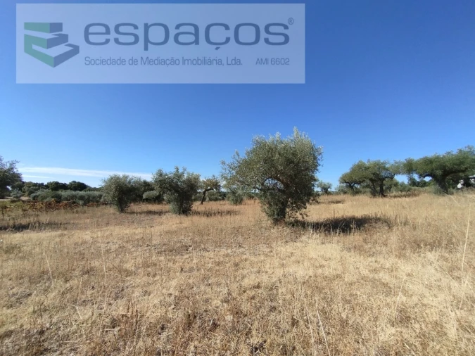 Quinta T1 para Venda em Escalos de Cima e Lousa Foto 19