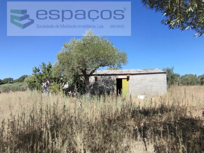 Quinta T1 para Venda em Escalos de Cima e Lousa Foto 20